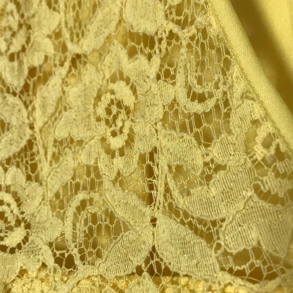 Pins AND NEEDLES Yellow Lace Scoop Neck V-Back Sleeveless Fit & Flare Size Large - Picture 3 of 4